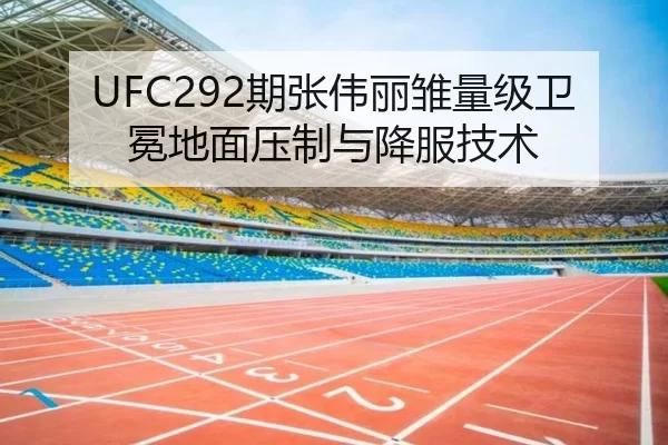 UFC292期张伟丽雏量级卫冕地面压制与降服技术